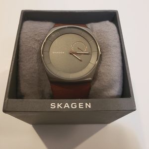 Men's Skagen Watch